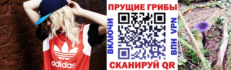 Купить где  Комсомольск  Галлюциногенные грибы мухоморы 